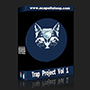 Trap Project Vol 1(FL/Ableton/Logic工程)